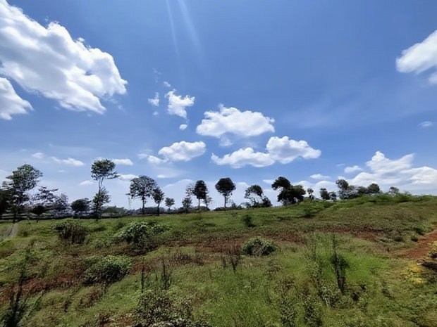 1/2 Acre Land for Sale in Runda