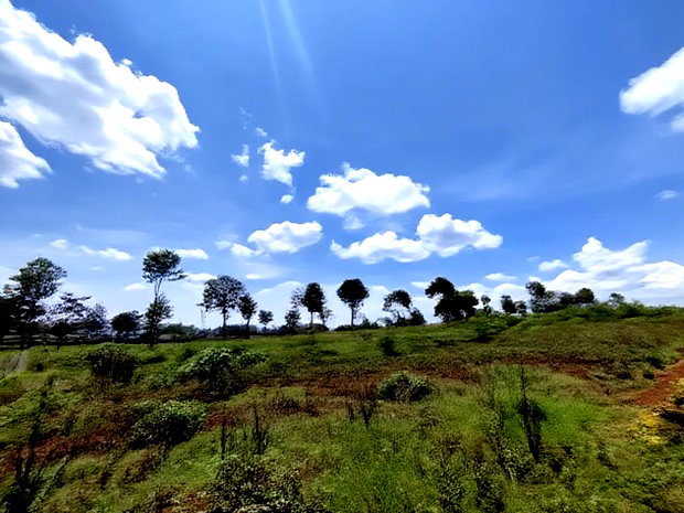 1/2 Acre Land for Sale in Runda