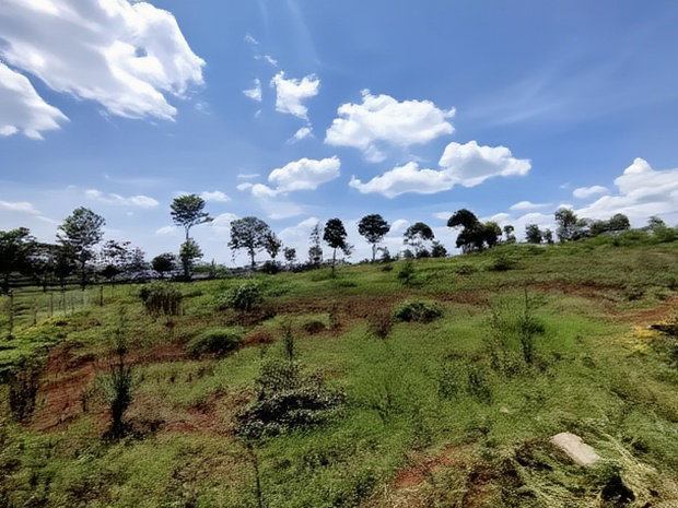 1/2 Acre Land for Sale in Runda
