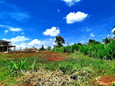 1/2 Acre Land for Sale in Runda - Image 6