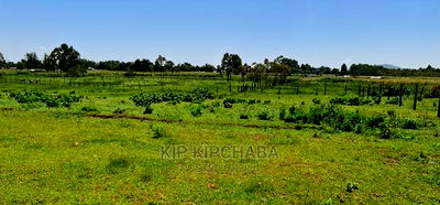 Plots for Sale in Kuinet Eldoret Along Eldoret Ziwa Highway - Image 5