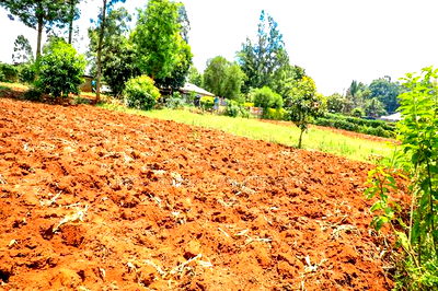 Prime Residential Plot for Sale Kikuyu, Gikambura - Image 5