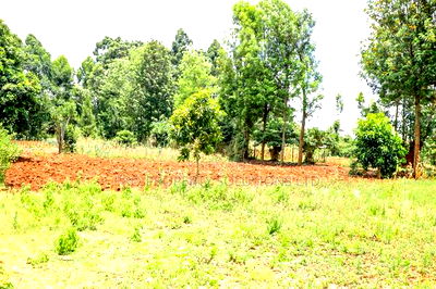 Prime Residential Plot for Sale Kikuyu, Gikambura - Image 4
