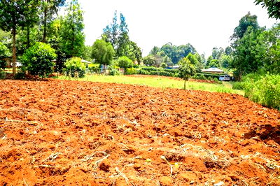 Prime Residential Plot for Sale Kikuyu, Gikambura - Image 7