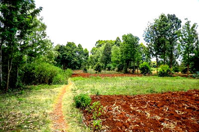 Prime Residential Plot for Sale Kikuyu, Gikambura - Image 2