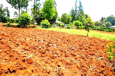 Prime Residential Plot for Sale Kikuyu, Gikambura - Image 1