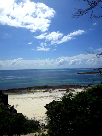For Sale 4 and a Half Beach Land Malindi - Image 6