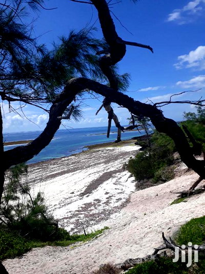 For Sale 4 and a Half Beach Land Malindi - Image 2
