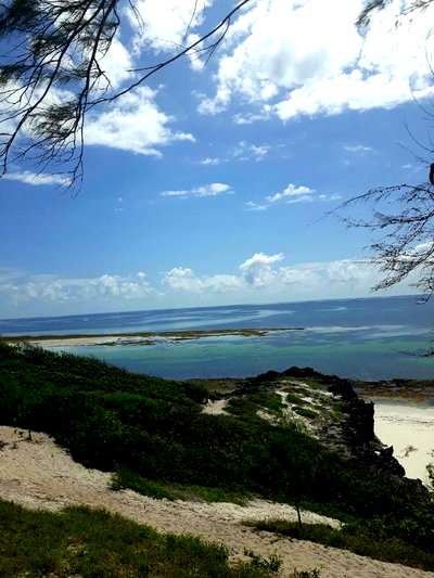 For Sale 4 and a Half Beach Land Malindi - Image 1