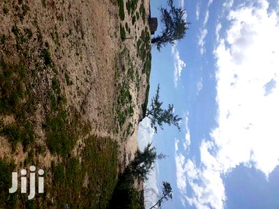 For Sale 4 and a Half Beach Land Malindi - Image 4