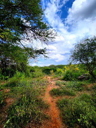 9 Acres for Sale at Sofia - Image 3