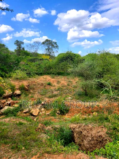 9 Acres for Sale at Sofia - Image 2