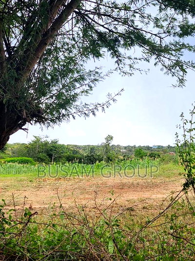 9 Acres for Sale at Sofia - Image 8