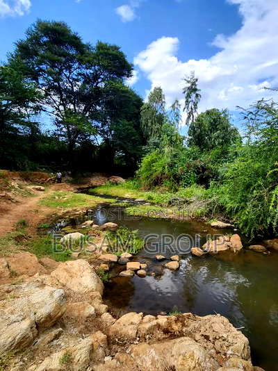 9 Acres for Sale at Sofia - Image 10