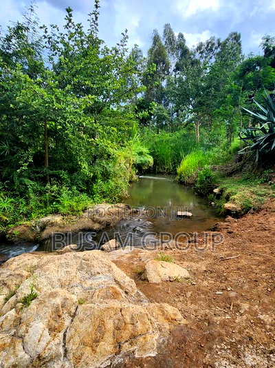 9 Acres for Sale at Sofia - Image 12