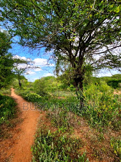 9 Acres for Sale at Sofia - Image 11