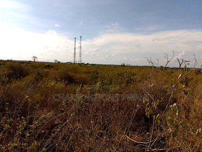 16 Acres Ideal for Villa or Hotel in Watamu - Image 7