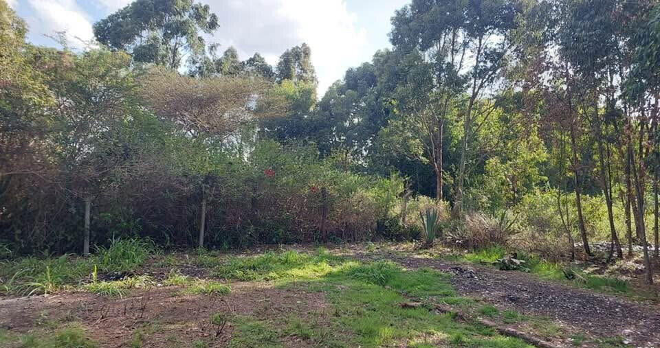 KSh 21M Riruta Plot