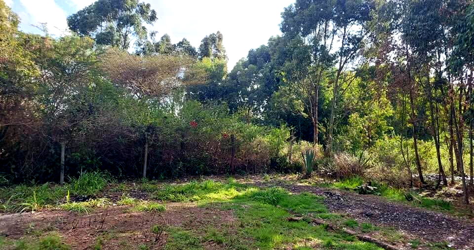 KSh 21M Riruta Plot