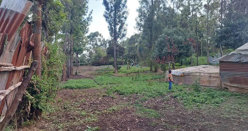 KSh 21M Riruta Plot