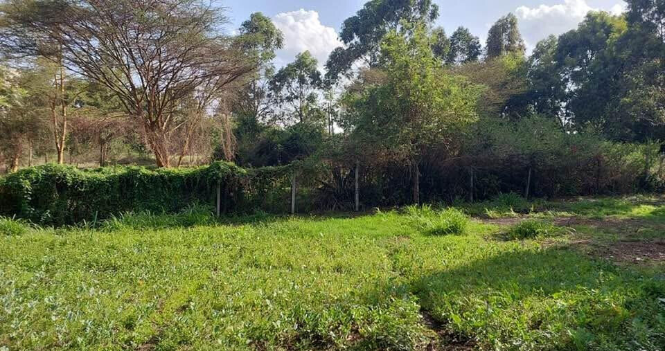 KSh 21M Riruta Plot
