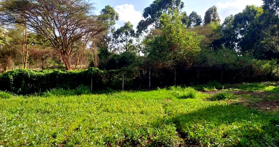 KSh 21M Riruta Plot