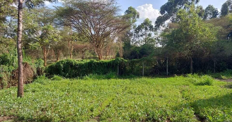 KSh 21M Riruta Plot