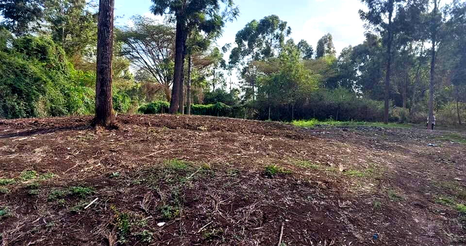 KSh 21M Riruta Plot