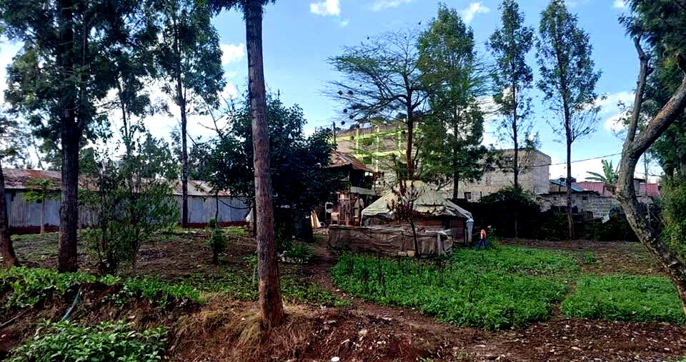 KSh 21M Riruta Plot