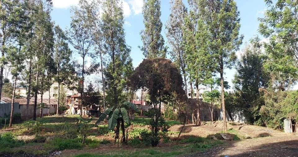 KSh 21M Riruta Plot
