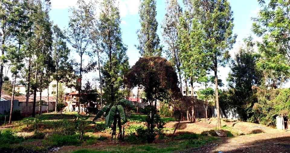 KSh 21M Riruta Plot