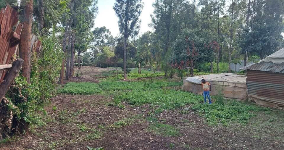 KSh 21M Riruta Plot