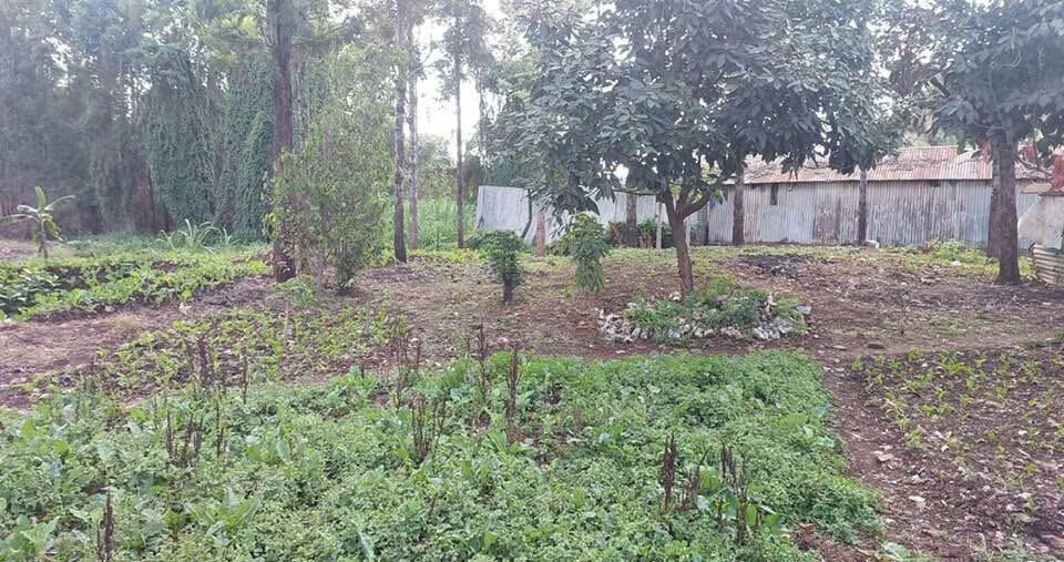 KSh 21M Riruta Plot