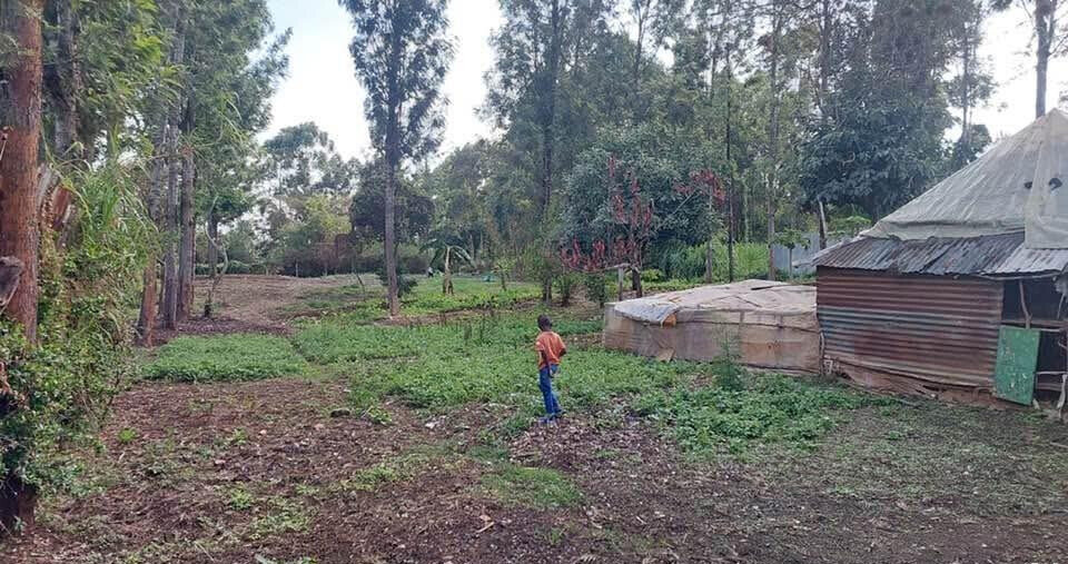 KSh 21M Riruta Plot