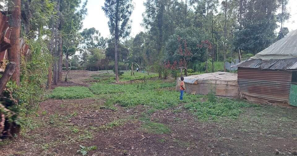 KSh 21M Riruta Plot