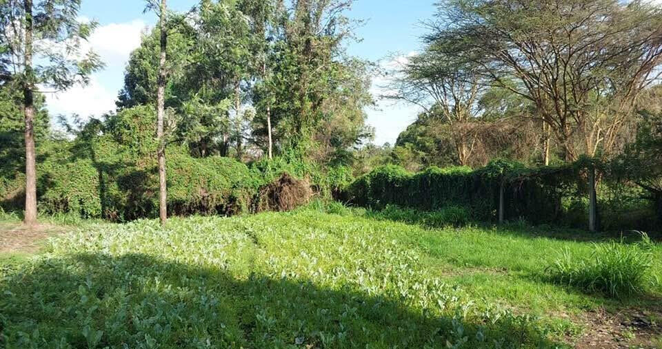 KSh 21M Riruta Plot