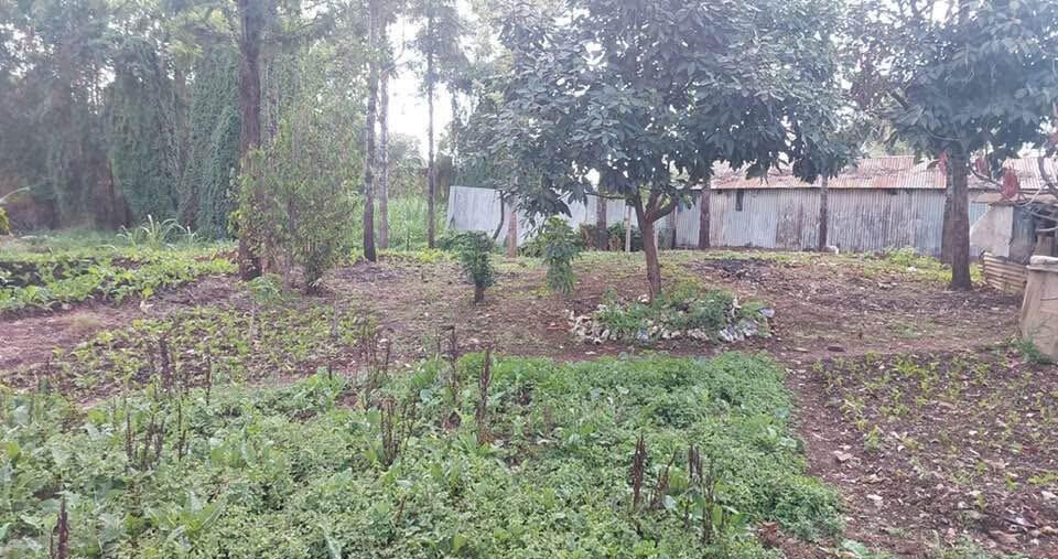 KSh 21M Riruta Plot
