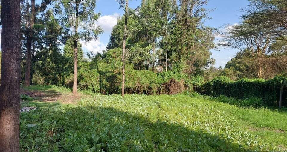 KSh 21M Riruta Plot