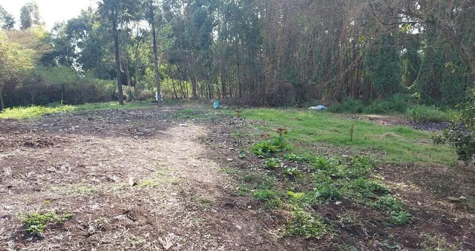 KSh 21M Riruta Plot