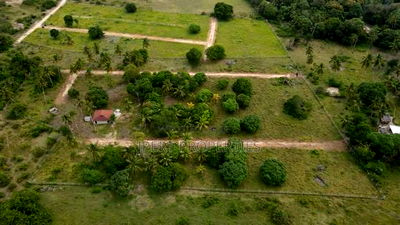 Diani 50 by 100 Plot on Sale - Image 2