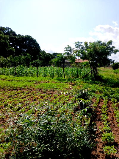 Quick Sale in Utange 1/8 at 2.8m Negotiable With Title Deed - Image 2