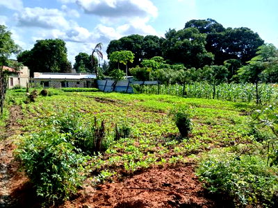 Quick Sale in Utange 1/8 at 2.8m Negotiable With Title Deed - Image 4