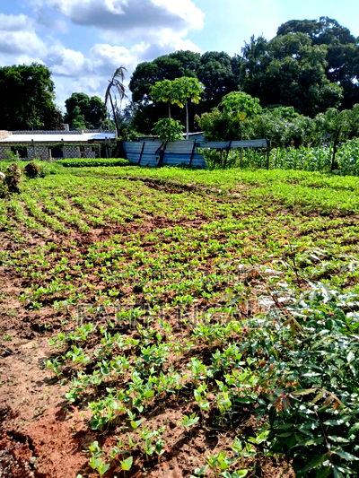 Quick Sale in Utange 1/8 at 2.8m Negotiable With Title Deed - Image 1