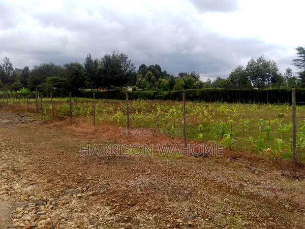 3 Parcels of Quarter Acre Plots for Sale in Ngong Memusi.