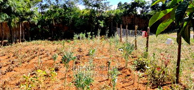 2bdrm Bungalow in Kuinet for Sale - Image 8