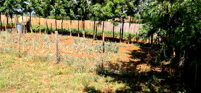 2bdrm Bungalow in Kuinet for Sale - Image 10