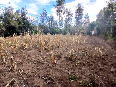 Very Distressed Eighth Acre Plot in Karen View, Matasia Near Tarmac - Image 2