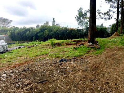 1/2 Acre Karen - Image 4