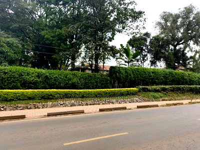 1/2 Acre Karen - Image 2