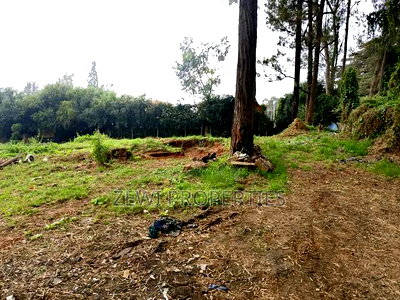 1/2 Acre Karen - Image 3